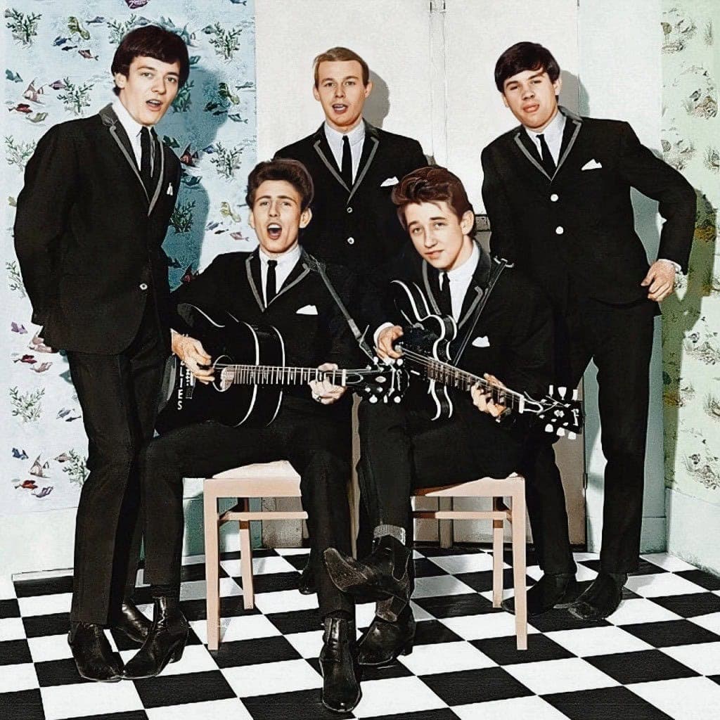 The Hollies ~ Long Cool Woman (1972)
